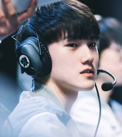 的资金支持 的资金支持